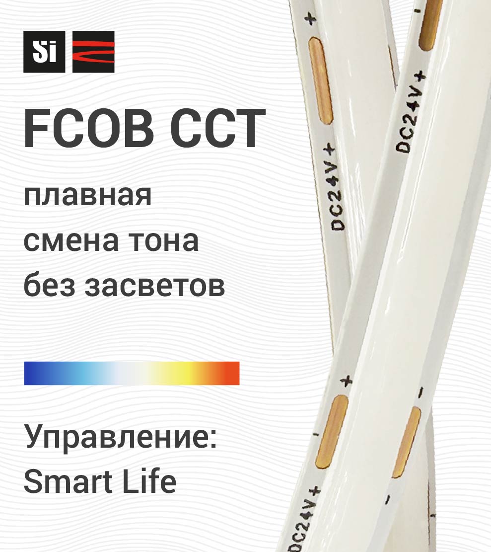 FCOB CCT