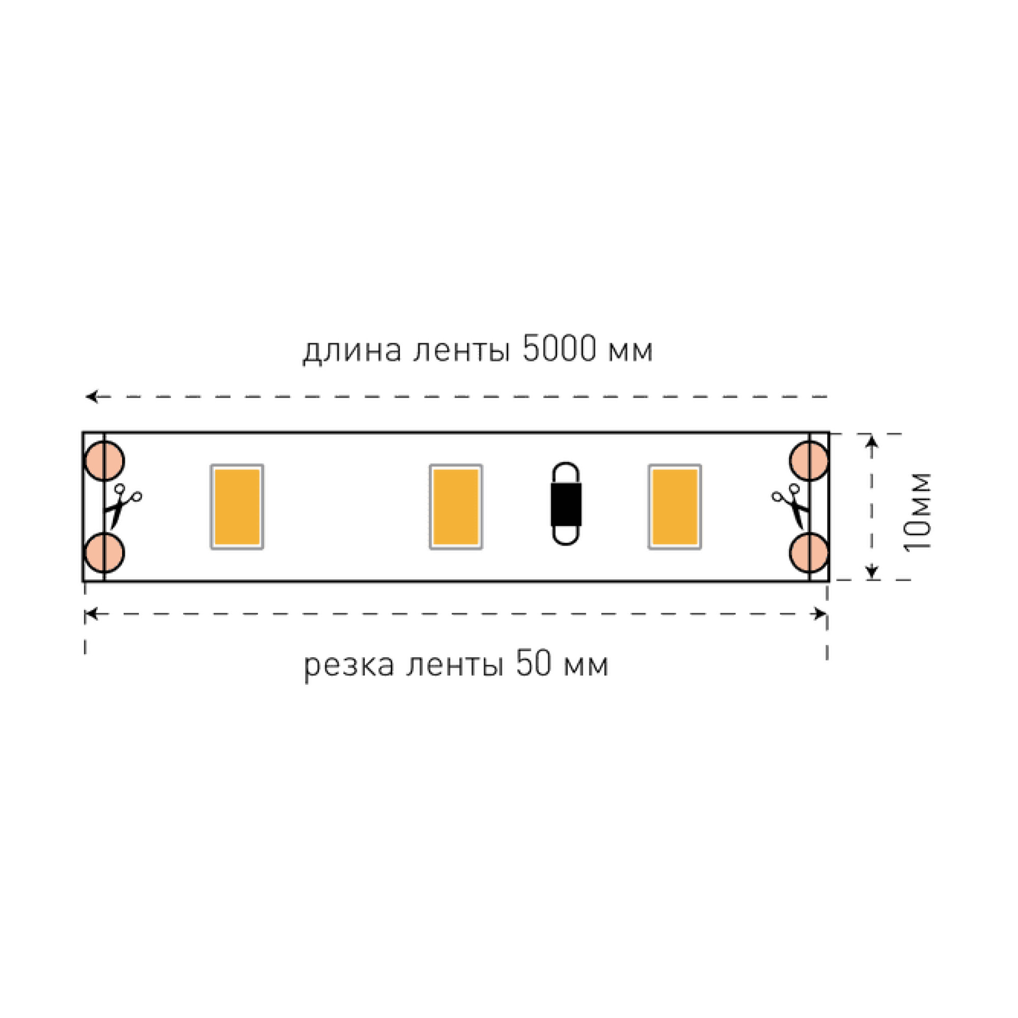 Лента светодиодная стандарт SMD5630 60LED/м 12Вт/м 12В IP20 Цвет:Холодный белый (1метр) SWG