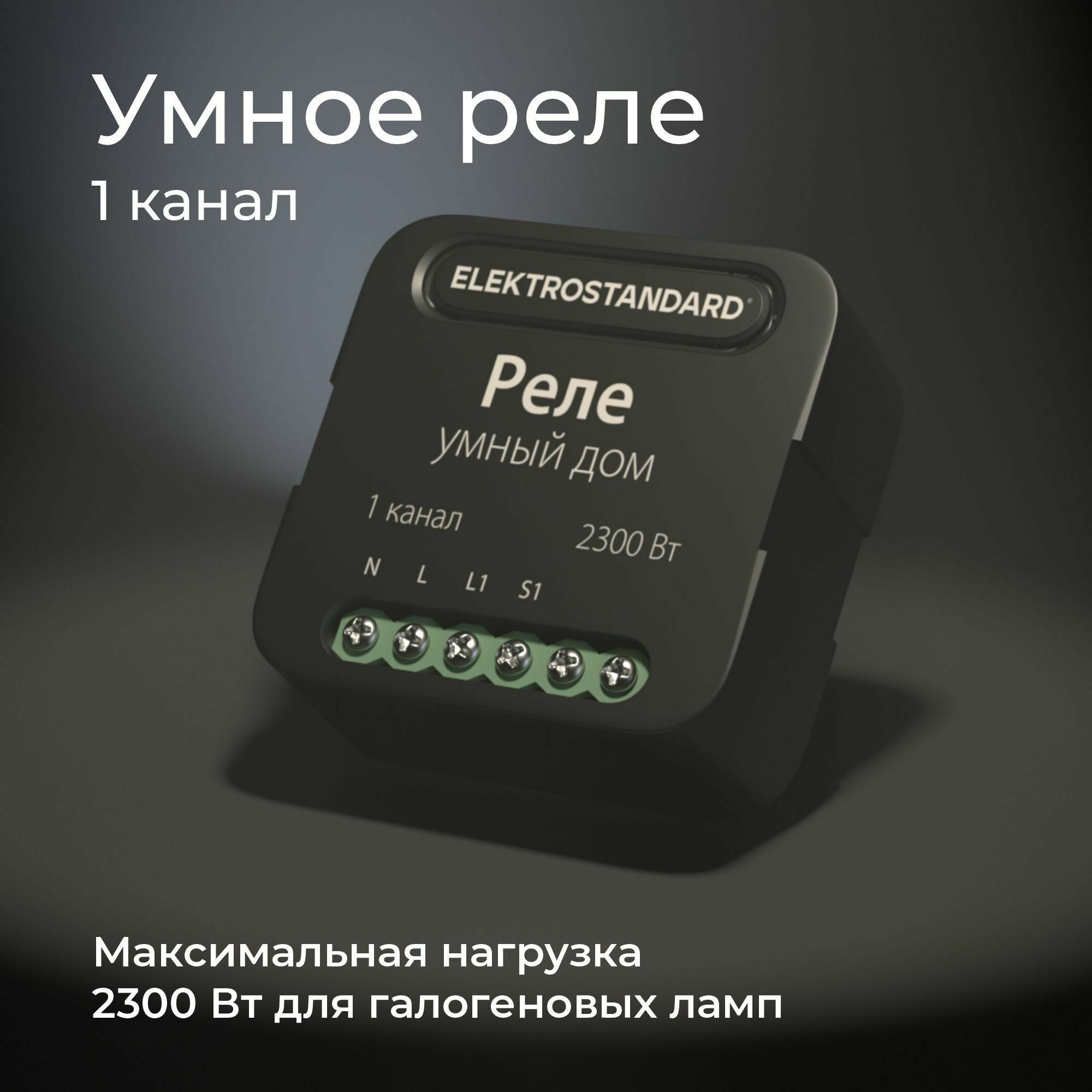 Умный дом реле черный 1 канал 2300W 76006/00 Elektrostandard