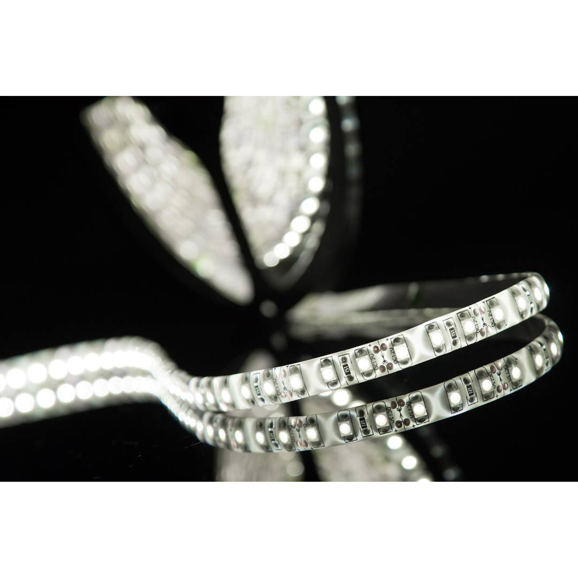 Лента светодиодная стандарт SMD2835 120LED/м 9,6Вт/м 12В IP65 Цвет:Холодный белый (1метр) ЗМ SWG