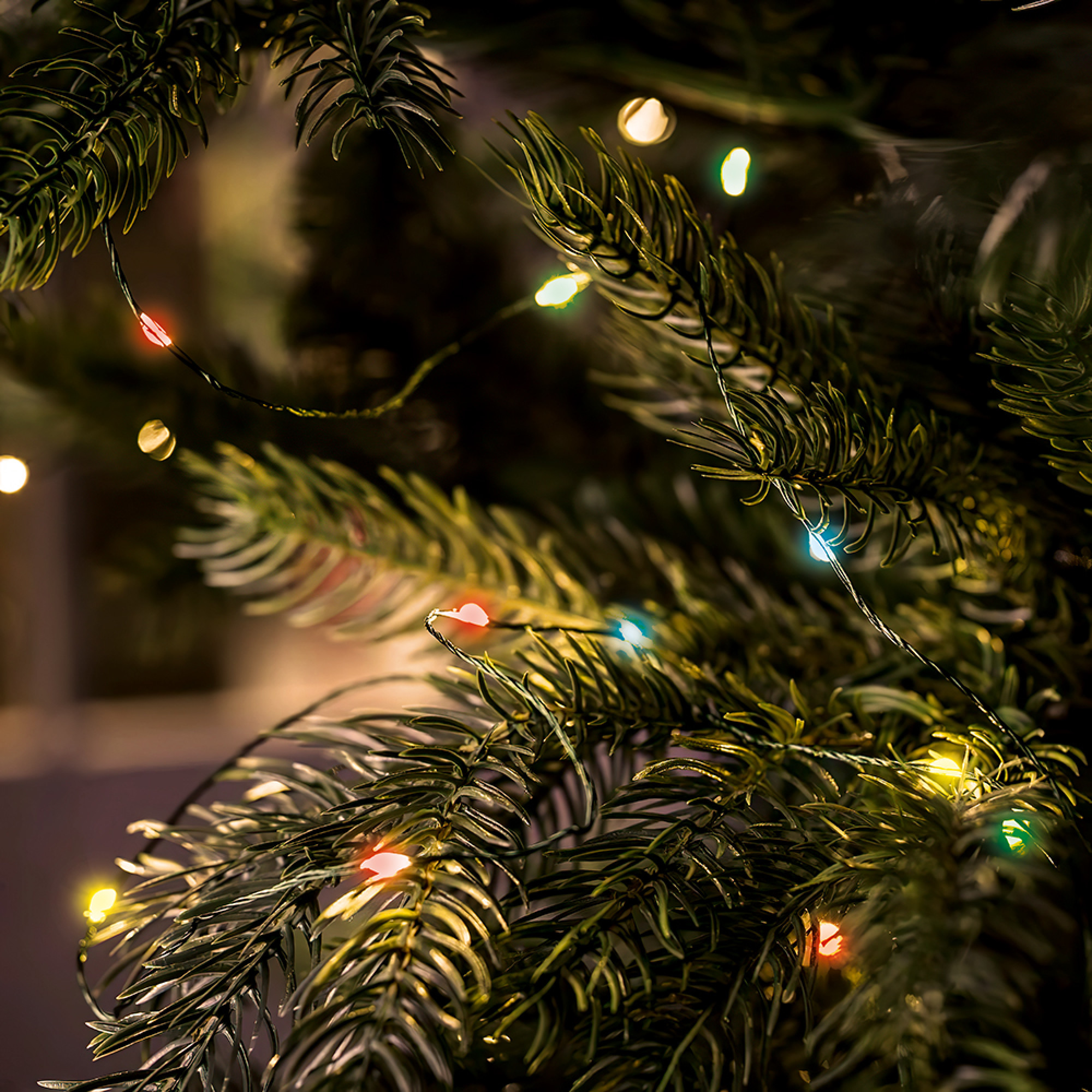 Светодиодная гирлянда CL583 линейная Роса (на проволоке) мульти c питанием от сети 220V 20м Feron