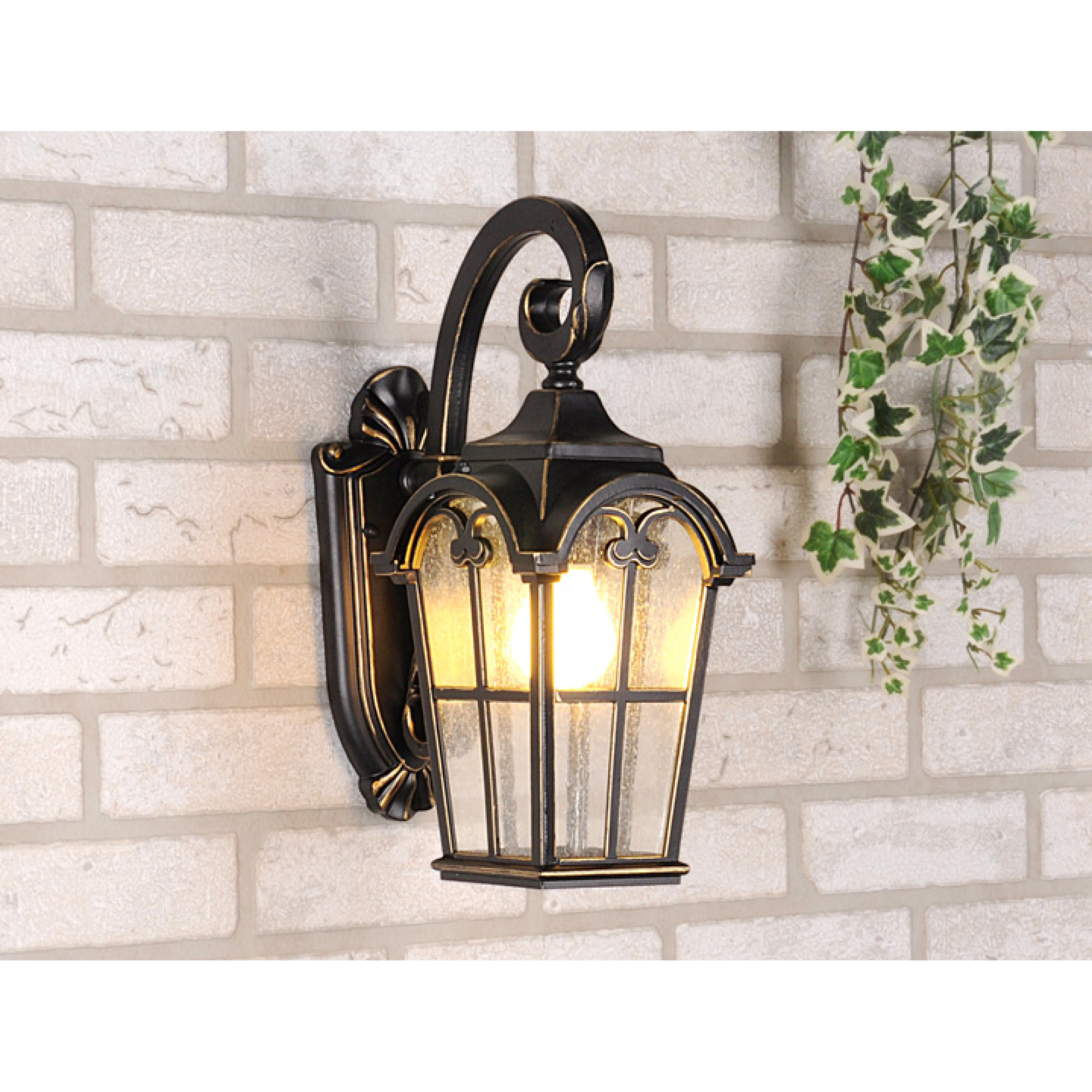 Светильник настенный декоративный Е27 60W IP44 Mira D черное золото Elektrostandard