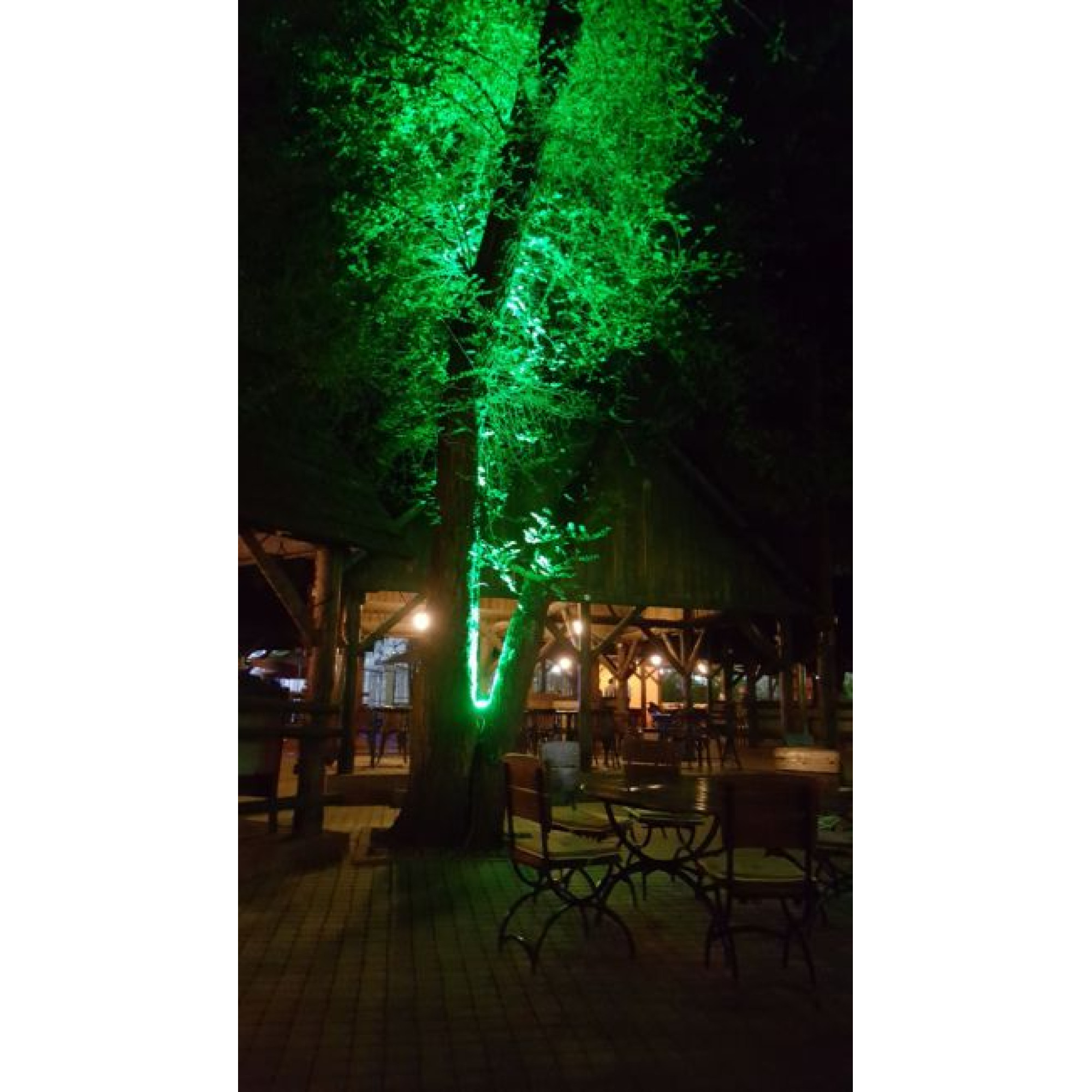 Прожектор светодиодный заливного света TGD 30Вт Зелёный SignImpress