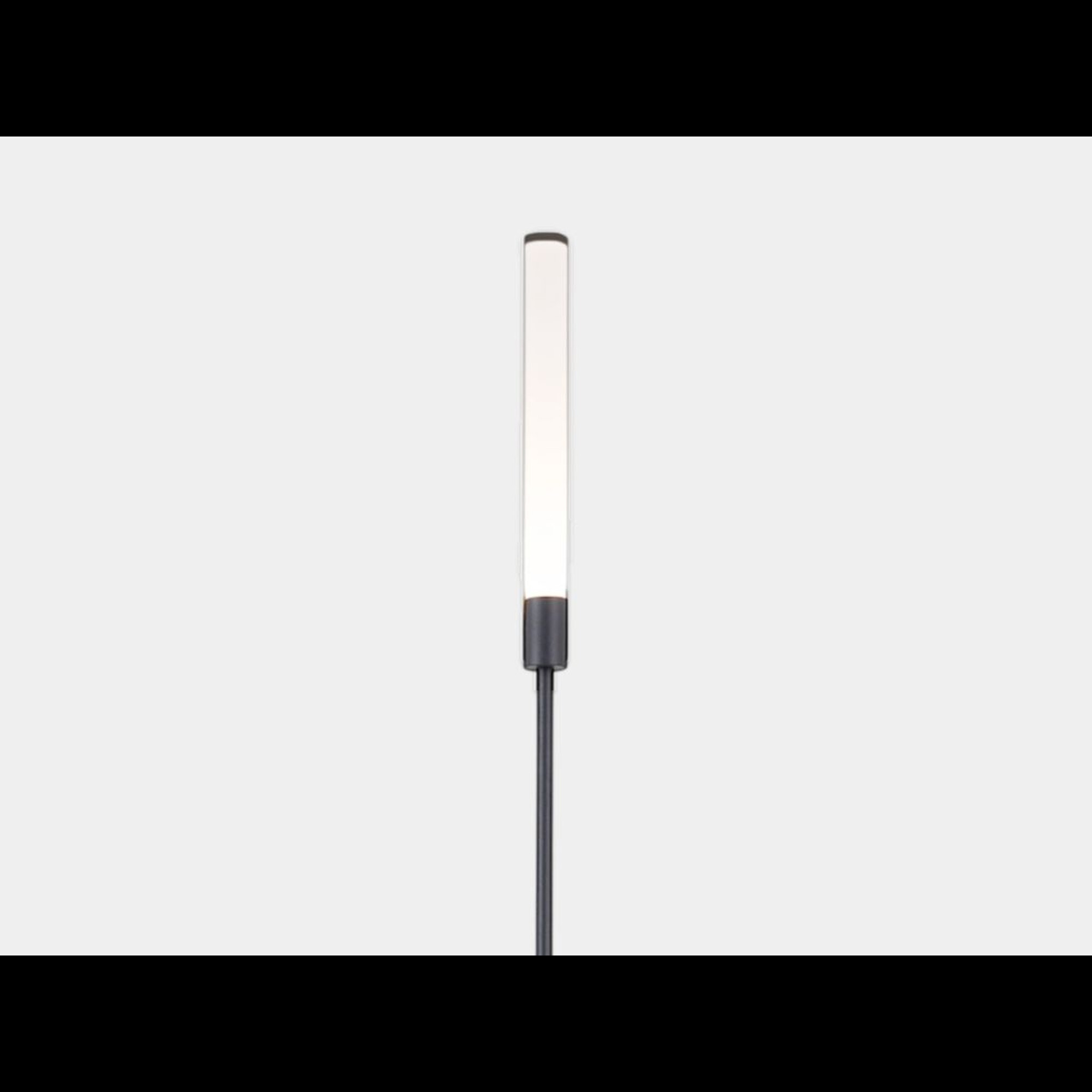 Ландшафтный светильник Камыш 1W-24V-WW-IP65 1000 мм 00-00045679 SWG