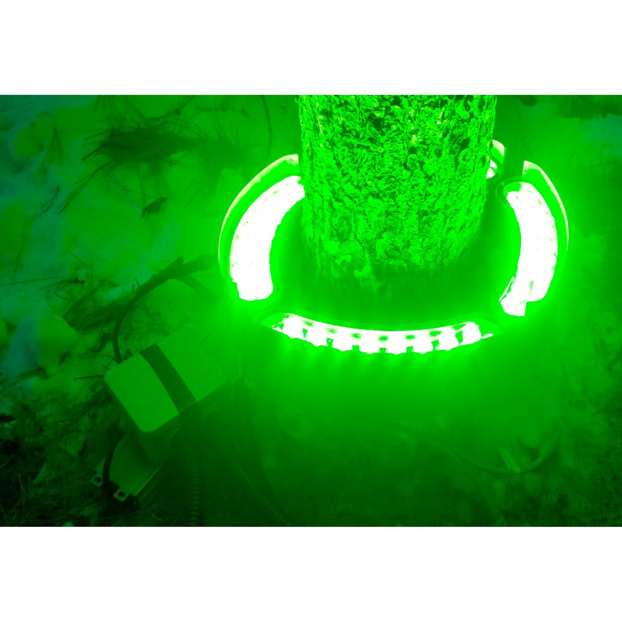 Прожектор архитектурный FCT 220В 18Вт Зелёный 30° SignImpress