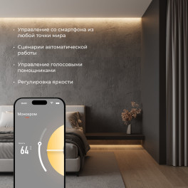 Умный контроллер для светодиодных лент MIX 12-24 В Elektrostandard