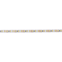 Светодиодная лента PLS 2835/120-12V 4000K IP20 5m (белый) Jazzway