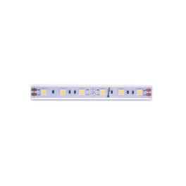 Лента светодиодная LUX5050 60LED/м 14,4Вт/м 12В IP65 Цвет:Холодный белый (6000K) (1метр) SWG