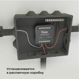 Умный дом реле черный 1 канал 2300W 76006/00 Elektrostandard