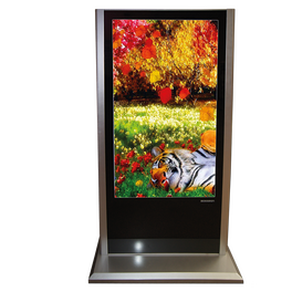 Стойка рекламная LCD, диагональ 55